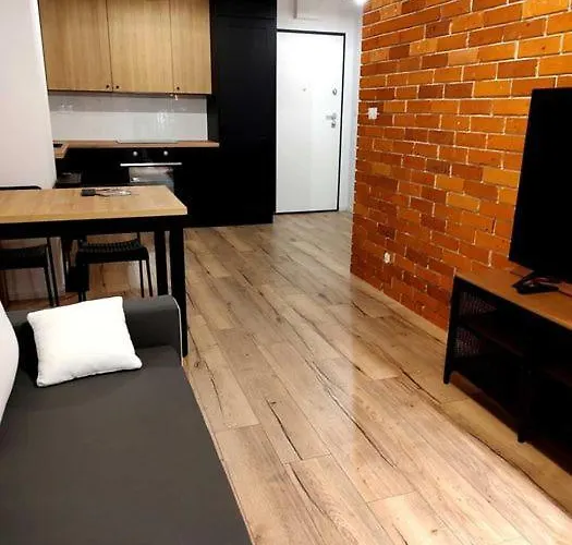 Warsaw Loft Apartment - Grill Terrace On The Roof